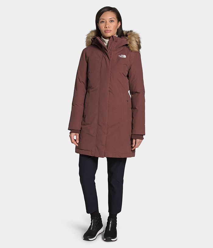 The North Face Womens Parka Arctic 518TCWQBH - Brown